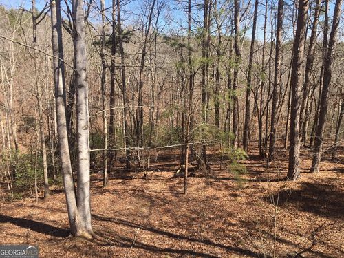 LOT 10 Olivia Ln, Ball Ground, GA, 30107 | Card Image