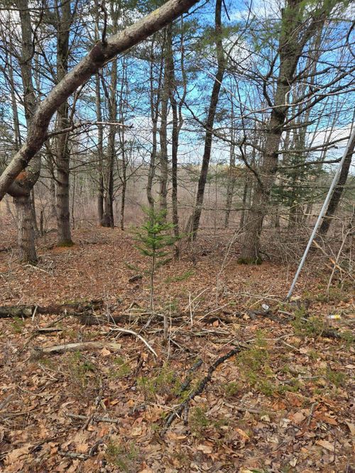 Lot 1 Maple Street, Farmingdale, ME, 04344 | Card Image