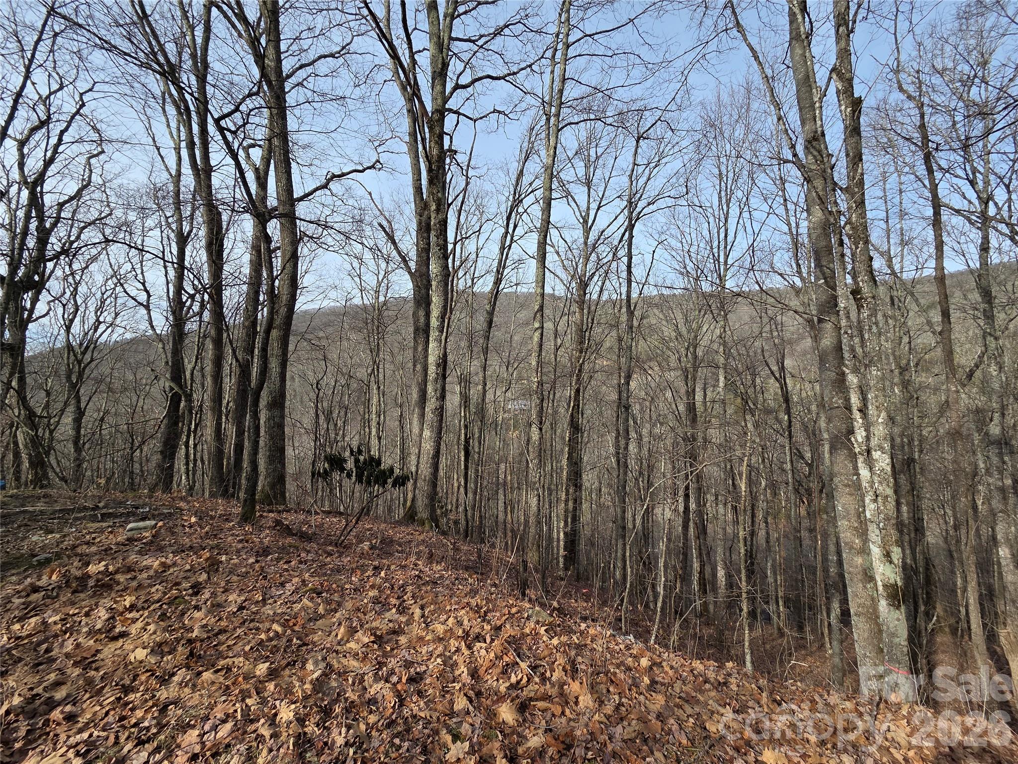 Land in Maggie Valley