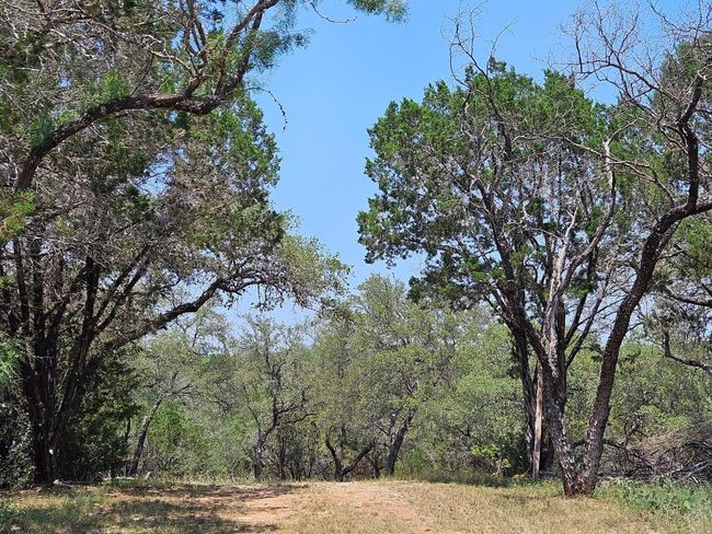 525 Soda Creek Rd, Home with 0 bedrooms, 0 bathrooms and null parking in Spicewood TX | Image 18