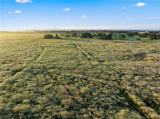 10570 N State Highway 6, Home with 0 bedrooms, 0 bathrooms and null parking in Calvert TX | Image 8