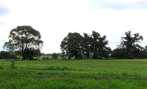 355 County Road 3204, Quitman, TX, 75783 | Card Image