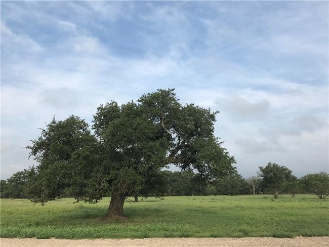 118 Danos Dr, House other with 2 bedrooms, 3 bathrooms and 6 parking in Fredericksburg TX | Image 13