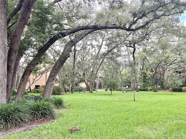 APT-201 - 4207 Winding Moss Trl, Condo with 2 bedrooms, 2 bathrooms and null parking in TAMPA FL | Image 36