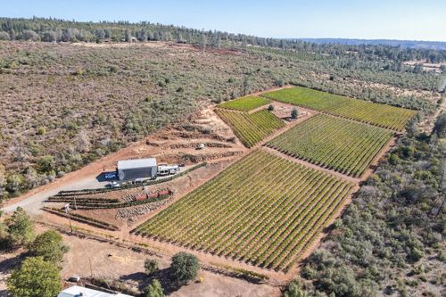 31559 Forwards Mill Rd, Manton, CA, 96059 | Card Image