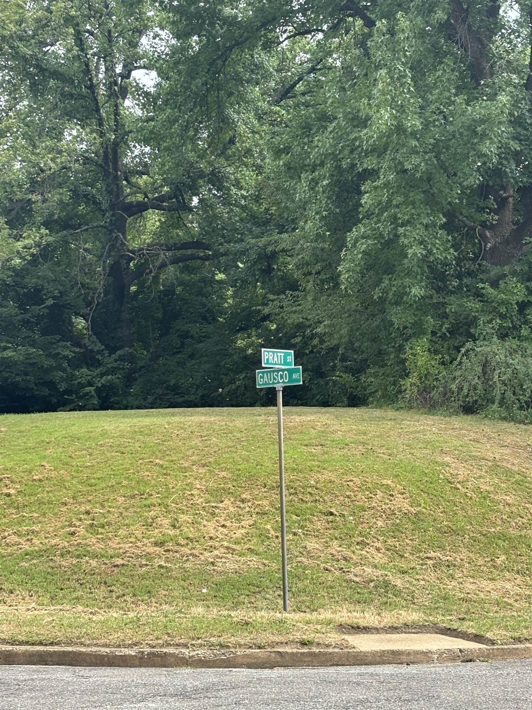 Land in Memphis 3