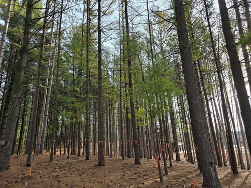 15-7855 Indian Lore Road, FARMINGTON, WI, 53090 | Card Image