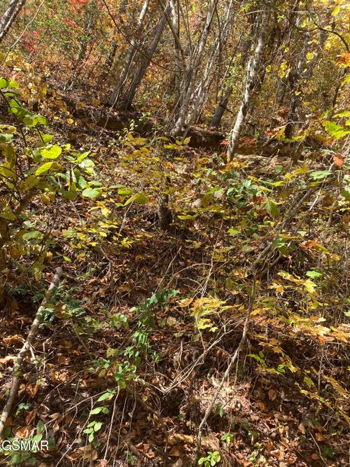 3 Meadow View Rd, Sevierville, TN, 37862 | Card Image