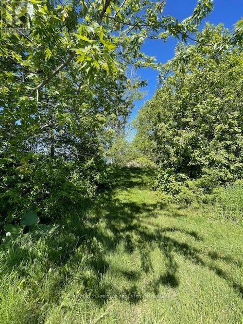 00 10th Line Road, Frontenac Islands (Wolfe Island), ON, K0H2Y0 | Card Image