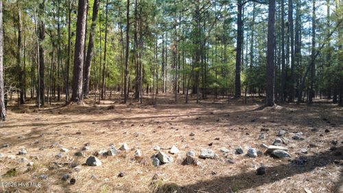 Tbd Horse Creek Run, Pinehurst, NC, 28374 | Card Image