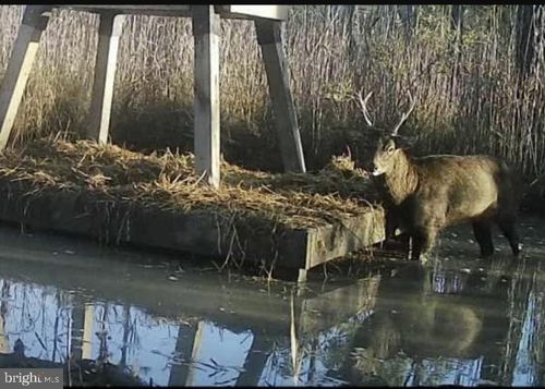 2651 Lakesville Crapo Rd, Crapo, MD, 21626-2018 | Card Image