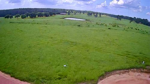LOT 247 Meadow View, Hillister, TX, 77624 | Card Image