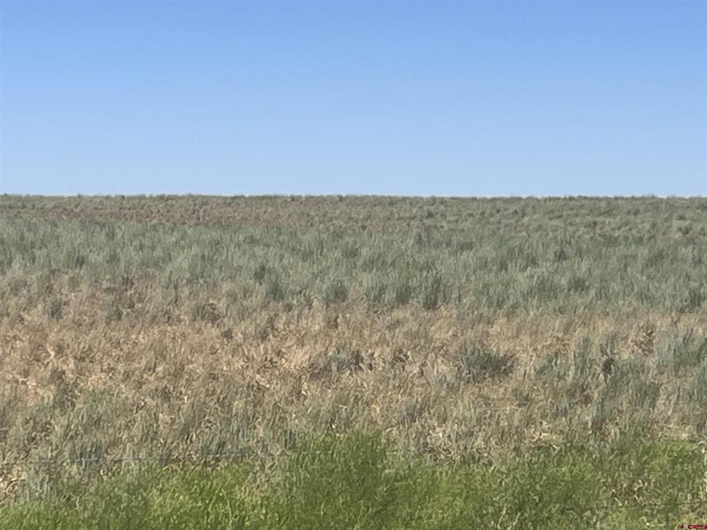 Land in Dove Creek 3
