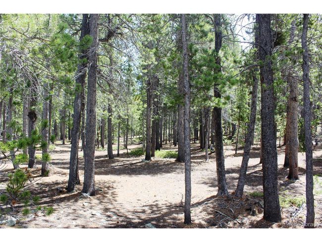 435 Aspen Rd, Home with 0 bedrooms, 0 bathrooms and null parking in Black Hawk CO | Image 23