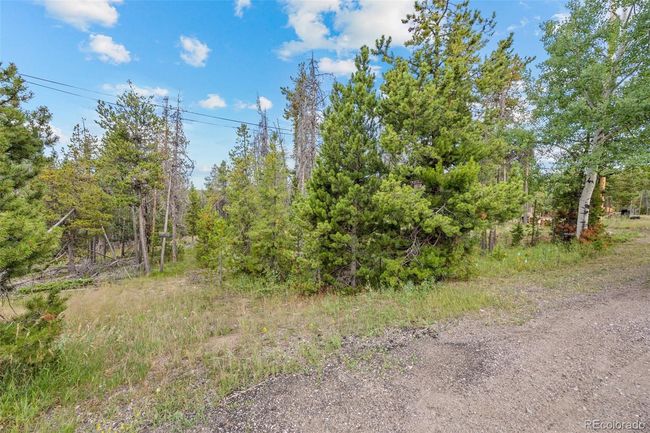 8570 S Warhawk Rd, Home with 0 bedrooms, 0 bathrooms and null parking in Conifer CO | Image 9