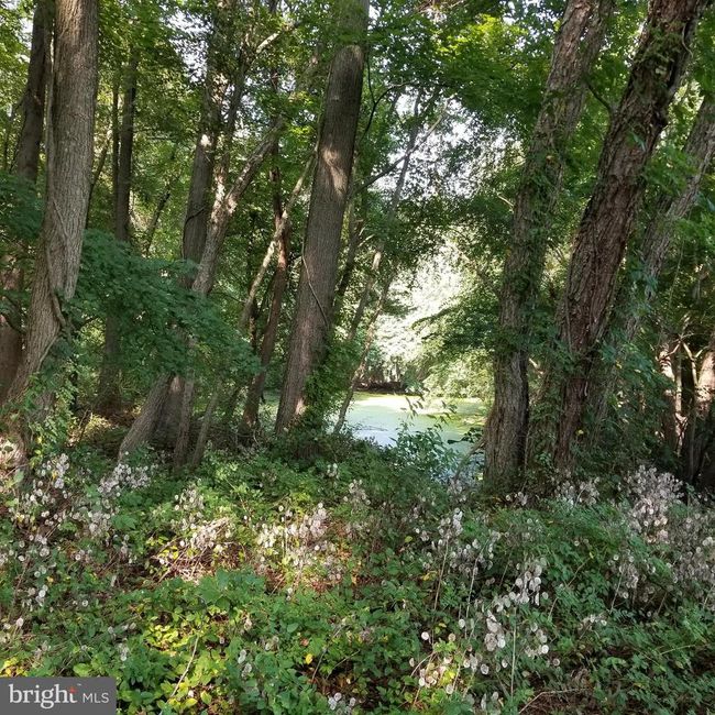 12355 Connelly Rd, Home with 0 bedrooms, 0 bathrooms and null parking in CORDOVA MD | Image 11