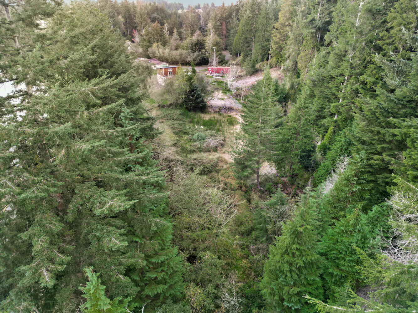 Land in Coos Bay 4