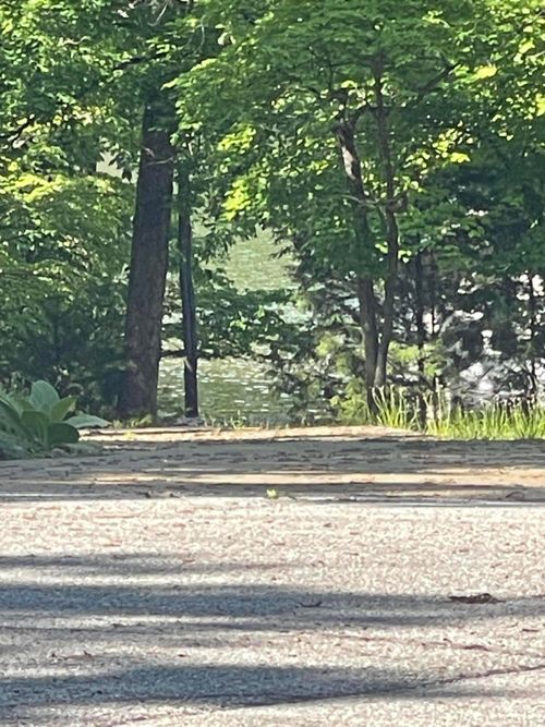 Lot 652 Clover Pt, Lake Ozark, MO, 65049 | Card Image