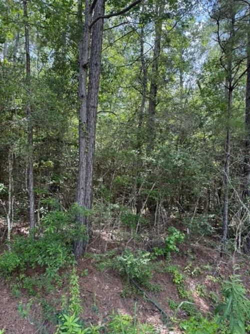 TBD Lakeview Cir, Woodville, TX, 75979 | Card Image