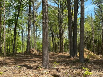 LOT-2 - LOT 2 Mountain Shadows Drive, Home with 0 bedrooms, 0 bathrooms and null parking in Tuftonboro NH | Image 3