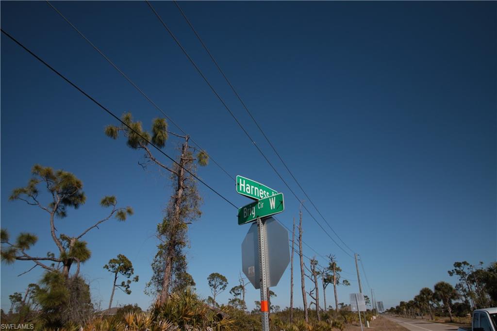 Land in PLACIDA 4
