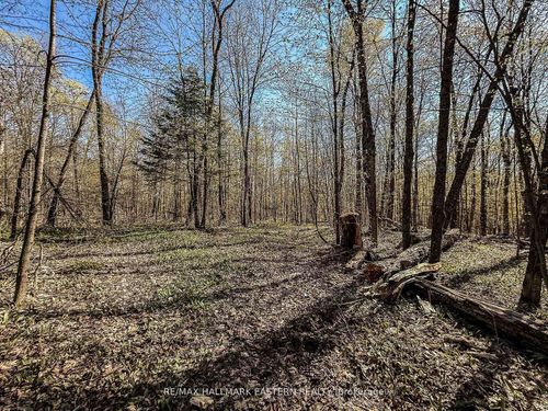 2494 Hadlington Rd, Highlands East, ON, K0L2Y0 | Card Image