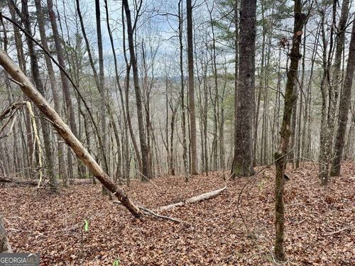 0 LOT 1758B Rebekah Ridge Rd, Talking Rock, GA, 30175 | Card Image