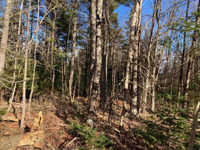lot 5 Nh Route 4a, Home with 0 bedrooms, 0 bathrooms and null parking in Grafton NH | Image 22