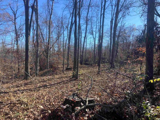 Tract 1 State Line Road, Home with 0 bedrooms, 0 bathrooms and null parking in West Terre Haute IN | Image 10