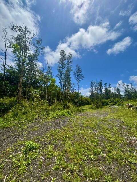 Land in Pahoa 5