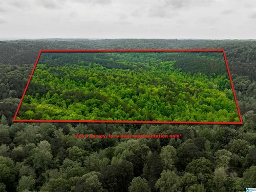 0-0 Willow Fork Rd, QUINTON, AL, 35130 | Card Image