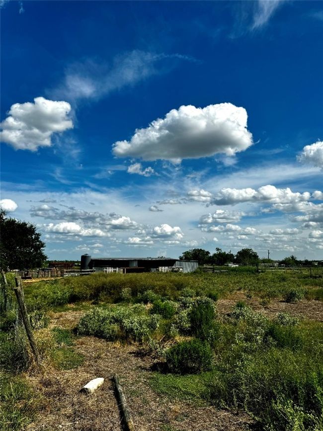386 3 G Road, Home with 0 bedrooms, 0 bathrooms and null parking in Kyle TX | Image 4
