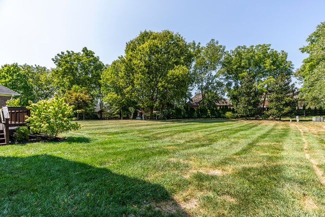 Oversize Backyard | Image 45