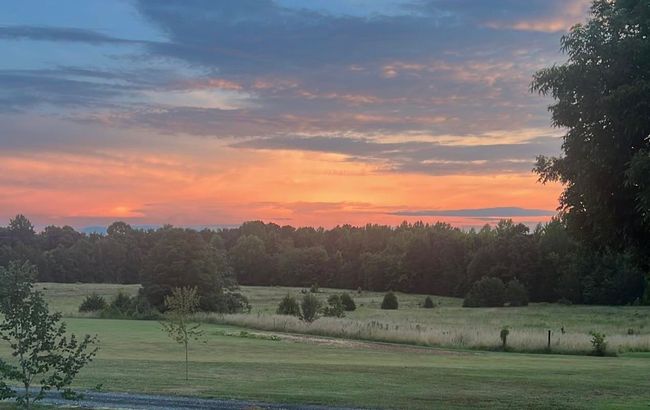 6050 Cross Anchor Rd, House other with 3 bedrooms, 2 bathrooms and null parking in Enoree SC | Image 49