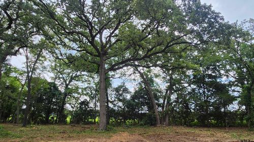 Lots 4, 5, 6 Holly Glen, Murchison, TX, 75778 | Card Image