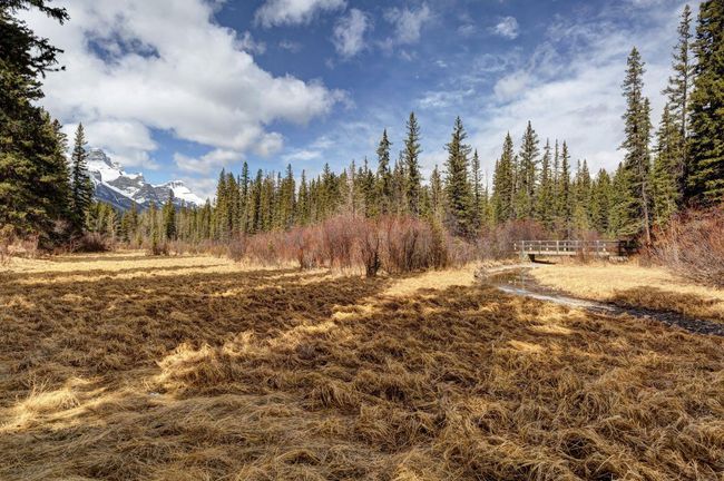 2 - 1530 7th Avenue, Townhouse with 3 bedrooms, 2 bathrooms and 2 parking in Canmore AB | Image 30