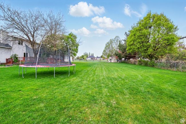 View of yard with a trampoline | Image 8