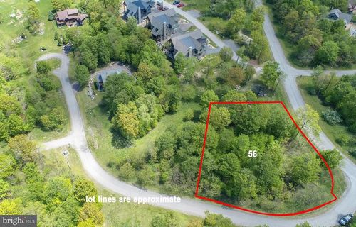 Lot 56 Rocky Camp Rd, MC HENRY, MD, 21541 | Card Image