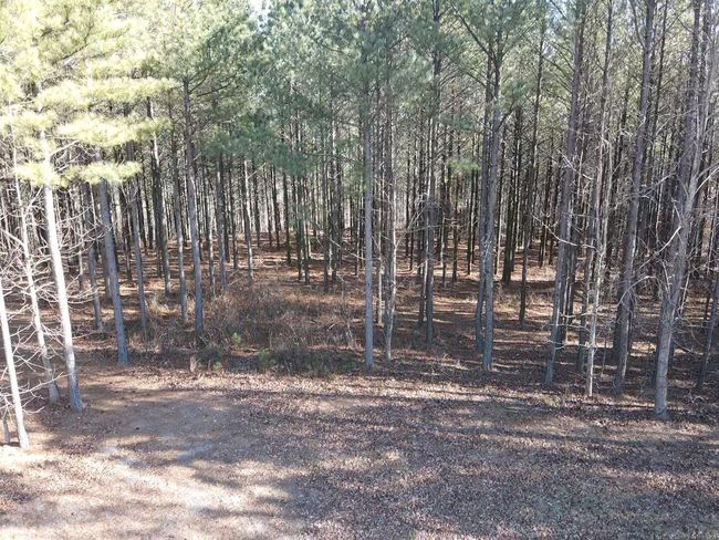 80 High Point Ln, Home with 0 bedrooms, 0 bathrooms and null parking in Jasper TN | Image 9