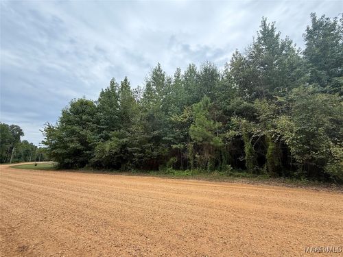 0 Twin Rivers Drive, Orrville, AL, 36767 | Card Image