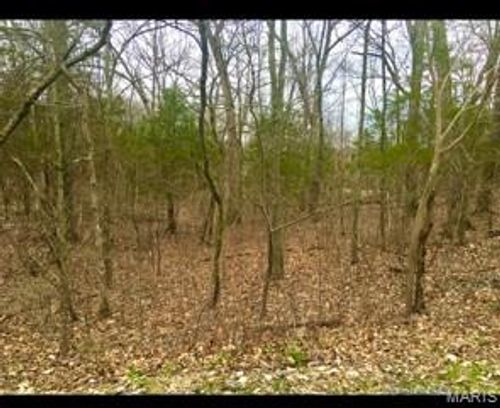3076 Jackson Dr, Hillsboro, MO, 63050 | Card Image