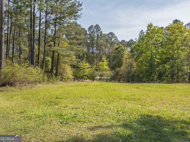 19361 Highway 301 N, House other with 3 bedrooms, 1 bathrooms and null parking in Hortense GA | Image 48