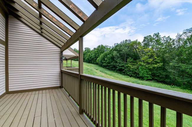 Watch the Skiers on the Trail | Image 25