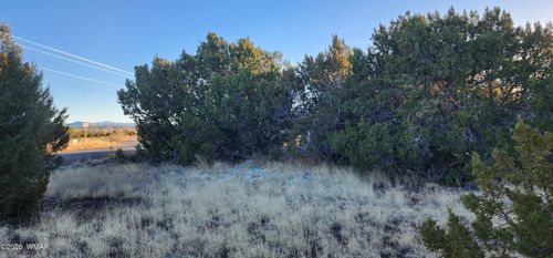 135 Acr 5050, Concho, AZ, 85924-2212 | Card Image