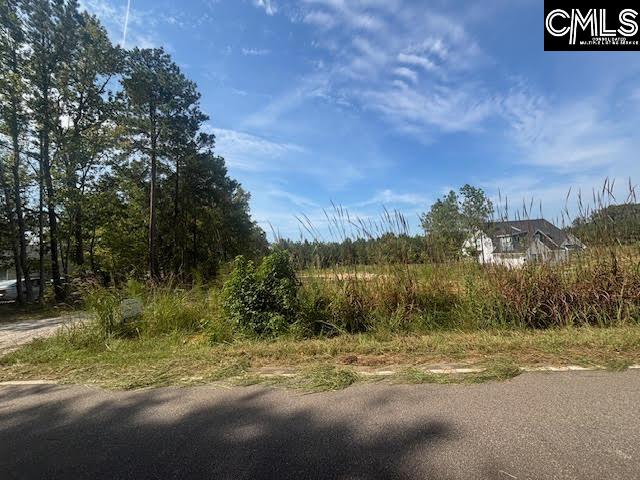 Land in Blythewood 2