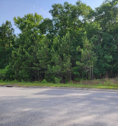 0000 Hamlin Rd, Mount Pleasant, SC, 29466 | Card Image