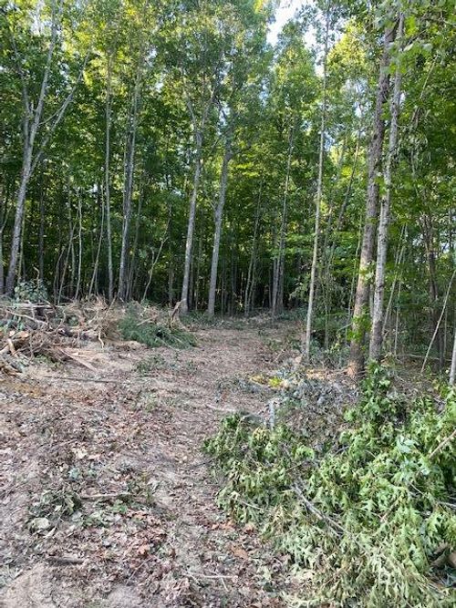na Veterans Lookout, Wilder, TN, 38589 | Card Image