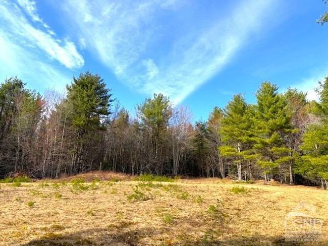 0 Campbell Rd, Home with 0 bedrooms, 0 bathrooms and null parking in Windham NY | Image 15