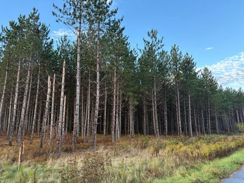 Lot 4 Plantation Rd, Pelican Lake, WI, 54463 | Card Image