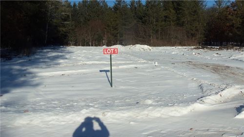 13786 Canute Creek Trl, Grantsburg, WI, 54840 | Card Image